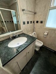 Evergreen Park (D19), Apartment #458521471